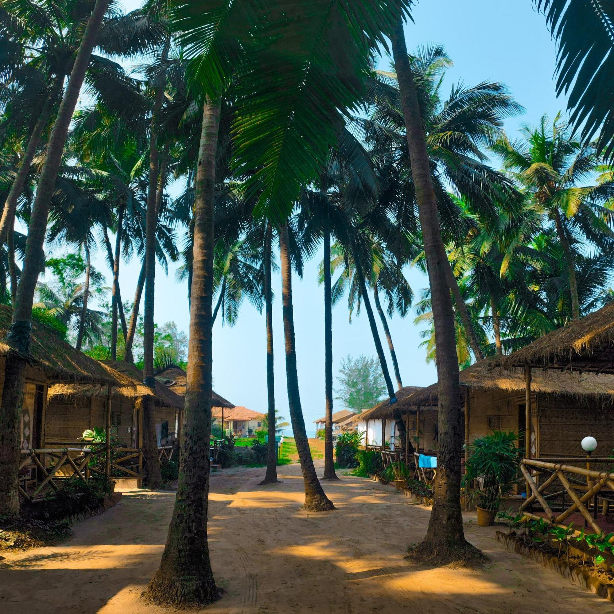 Dunes Holiday Village Mandrem Ngoại thất bức ảnh